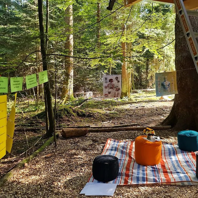 seminaraufbau-wald